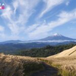 【Forza Horizon 6】VRで完全動作！PIMAXで遊ぶ導入方法と注意点を解説【picar3】