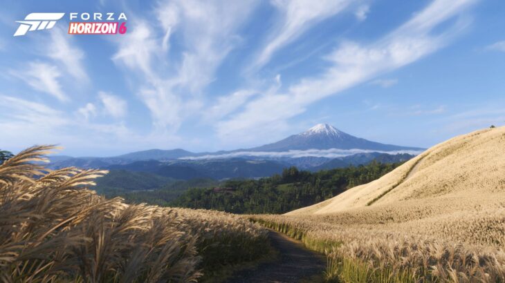 【Forza Horizon 6】VRで完全動作！PIMAXで遊ぶ導入方法と注意点を解説【picar3】